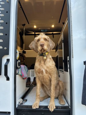 IMG_6340.jpg IMG_6340.jpg