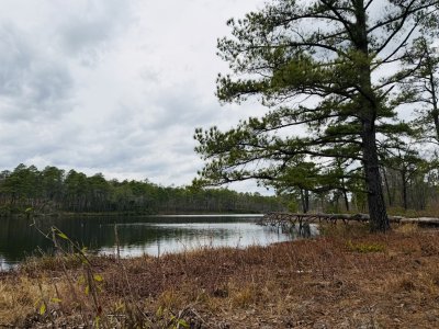 IMG_0055.jpeg IMG_0055.jpeg