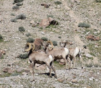 DSC_0069.jpeg DSC_0069.jpeg