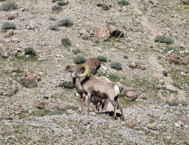 DSC_0070.jpeg DSC_0070.jpeg