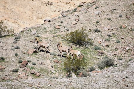 DSC_0076.jpeg DSC_0076.jpeg