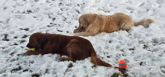 20251203_164106_copy_1600x747.jpg 20251203_164106_copy_1600x747.jpg