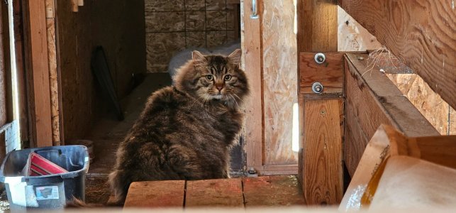 20251225_091014_copy_1600x747.jpg 20251225_091014_copy_1600x747.jpg