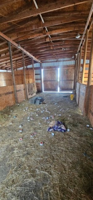 20260101_092535_copy_349x747.jpg 20260101_092535_copy_349x747.jpg