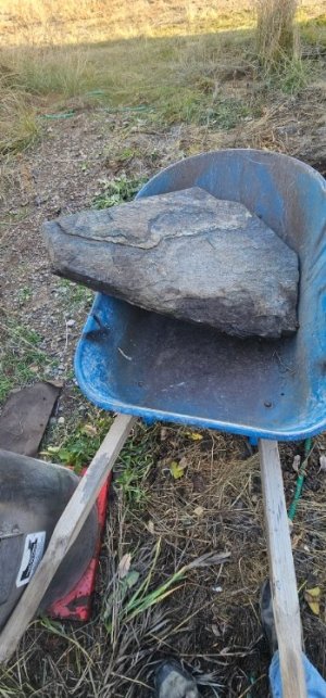 20251216_112840_copy_349x747.jpg 20251216_112840_copy_349x747.jpg