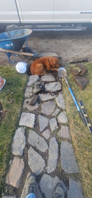 20251216_105505_copy_349x747.jpg 20251216_105505_copy_349x747.jpg