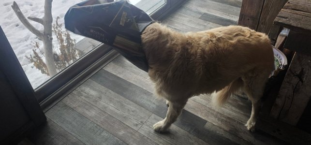 20251227_131649_copy_1600x747.jpg 20251227_131649_copy_1600x747.jpg