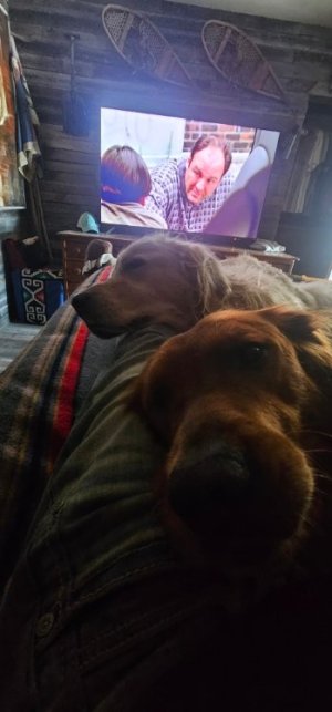 20251228_104415_copy_349x747.jpg 20251228_104415_copy_349x747.jpg