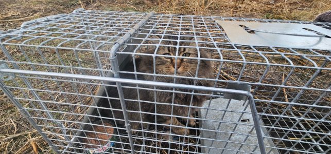 20251224_092833_copy_1600x747.jpg 20251224_092833_copy_1600x747.jpg