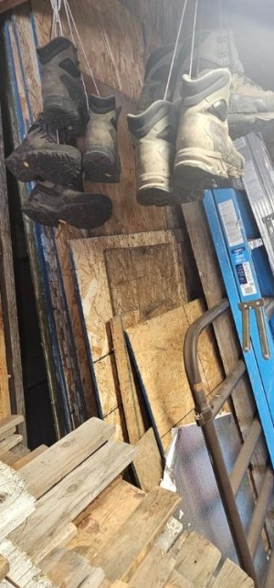 20260126_093238_copy_349x747.jpg 20260126_093238_copy_349x747.jpg