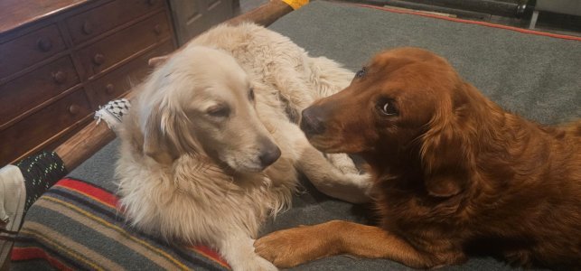 20260104_063727_copy_1600x747.jpg 20260104_063727_copy_1600x747.jpg