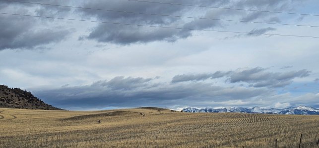 20260112_143413_copy_1600x747.jpg 20260112_143413_copy_1600x747.jpg