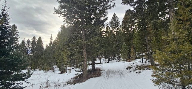 20260112_162041_copy_1600x747.jpg 20260112_162041_copy_1600x747.jpg