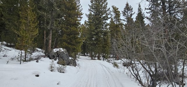 20260112_162024_copy_1600x747.jpg 20260112_162024_copy_1600x747.jpg