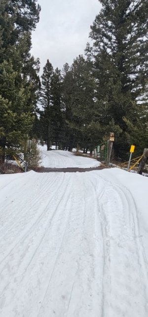 20260112_160455_copy_349x747.jpg 20260112_160455_copy_349x747.jpg