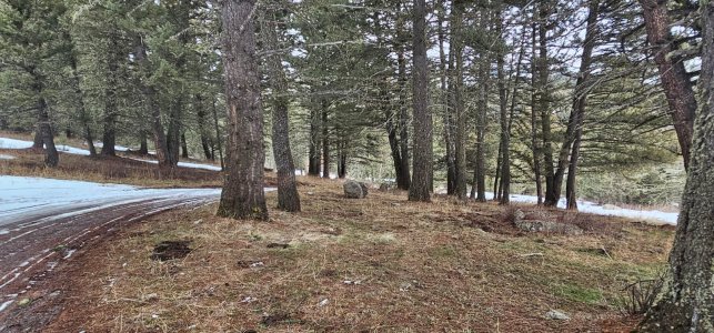 20260112_160817_copy_1600x747.jpg 20260112_160817_copy_1600x747.jpg