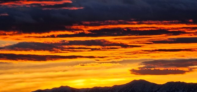 20260112_170426_copy_1600x747.jpg 20260112_170426_copy_1600x747.jpg