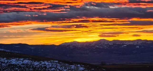 20260112_170459_copy_1600x747.jpg 20260112_170459_copy_1600x747.jpg