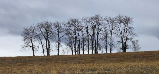 20260113_085337_copy_1600x747.jpg 20260113_085337_copy_1600x747.jpg