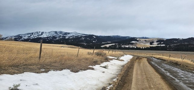 20260113_090058_copy_1600x747.jpg 20260113_090058_copy_1600x747.jpg