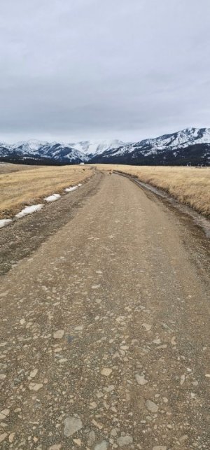 20260113_092857_copy_349x747.jpg 20260113_092857_copy_349x747.jpg