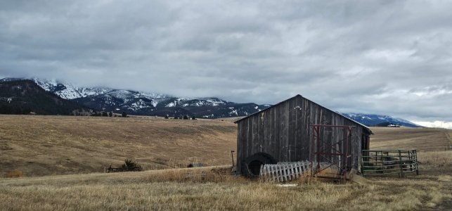 20260113_121950_copy_1600x747.jpg 20260113_121950_copy_1600x747.jpg