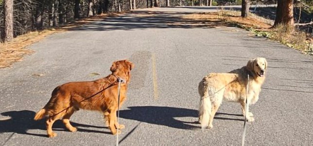 Screenshot_20260129_083151_Gallery.jpg Screenshot_20260129_083151_Gallery.jpg