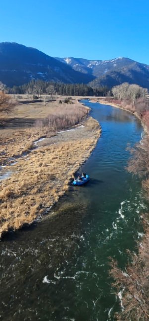 Screenshot_20260129_083208_Gallery.jpg Screenshot_20260129_083208_Gallery.jpg