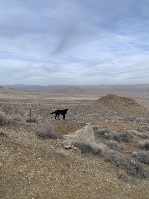 IMG_0312.jpeg IMG_0312.jpeg