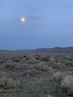 IMG_0331.jpeg IMG_0331.jpeg