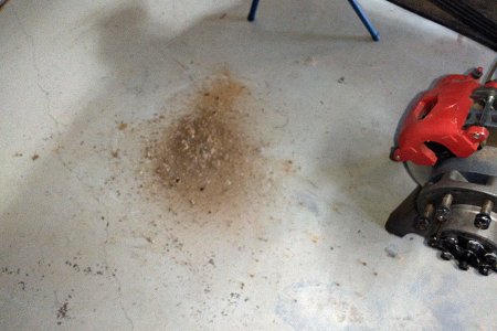 IMG_20260206_165805371 copy.jpg