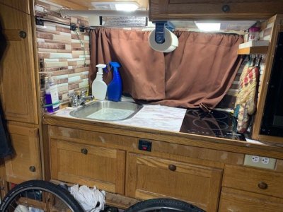 Sink & Induction Cooktop.jpg