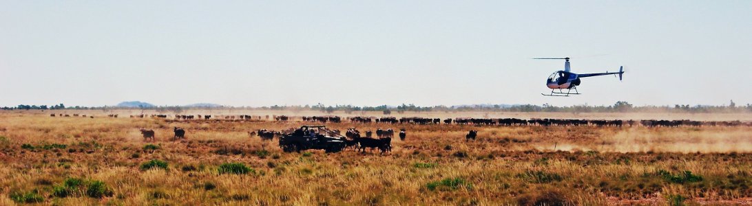 08-06-08N Peter muster 005c.jpg