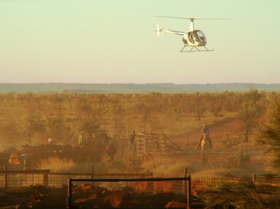 07-08-20 Yarrie muster 052cre.jpg