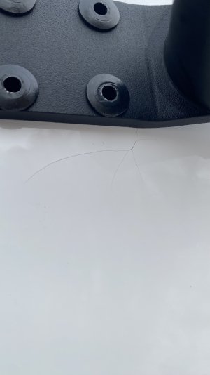 IMG_4871.jpeg IMG_4871.jpeg