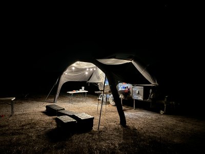 Opus Night Lights.jpg