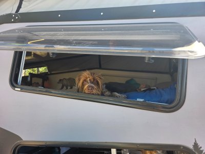 20250522_085158.jpg 20250522_085158.jpg