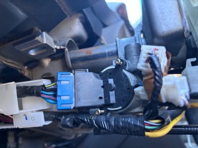 IMG_7711.jpeg IMG_7711.jpeg