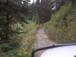 lost trail.jpg