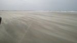 obx 2012 567.jpg