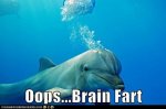funny-animal-captions-animal-capshunz-dumb-moment-dolphin.jpg funny-animal-captions-animal-capshunz-dumb-moment-dolphin.jpg