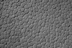 DSC00416.jpg