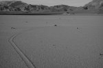 DSC00422.jpg