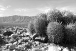 DSC00474.jpg