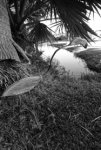 DSC00517.jpg