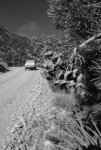 DSC00527.jpg
