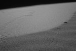 DSC00554.jpg