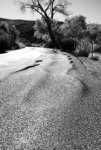 DSC00599.jpg