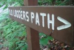 loggerpath_small.jpg