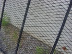 DSC01169.JPG